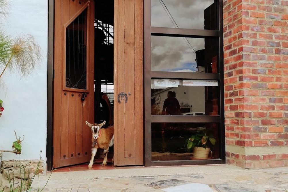 Cabanas & Glamping De Ruana Por Boyaca Paipa Ngoại thất bức ảnh