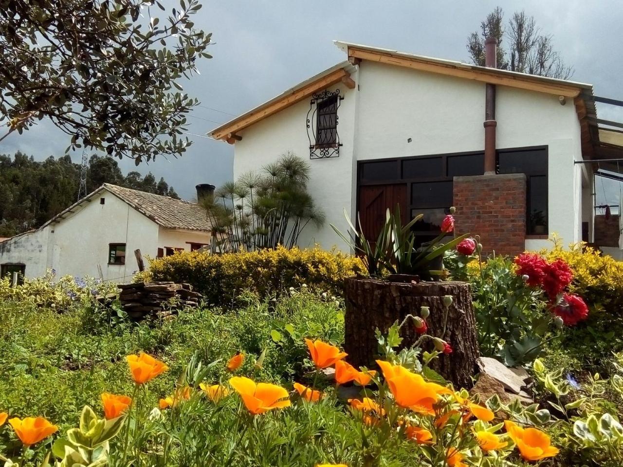 Cabanas & Glamping De Ruana Por Boyaca Paipa Ngoại thất bức ảnh